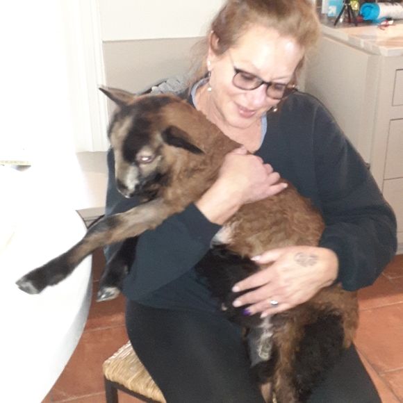 Hi! I'm Beth! Welcome! Bienvenidos! - Picture 4 of 11